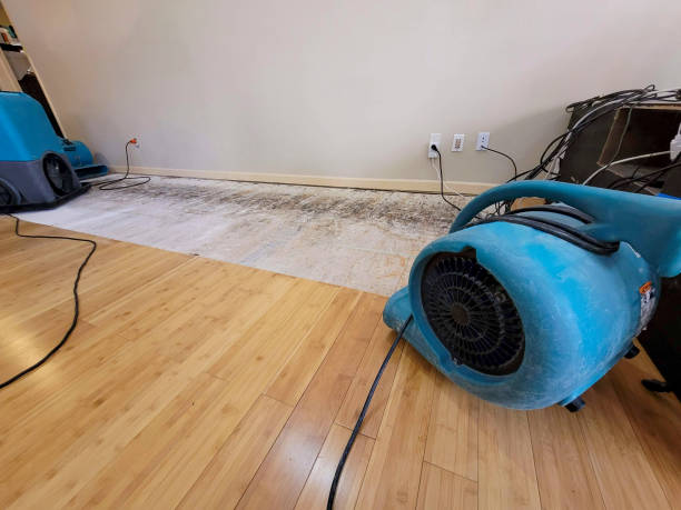 Professional Water Damage Repair technician working in Graham, WA